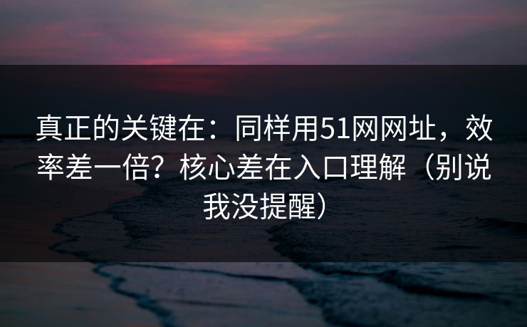 真正的关键在：同样用51网网址，效率差一倍？核心差在入口理解（别说我没提醒）
