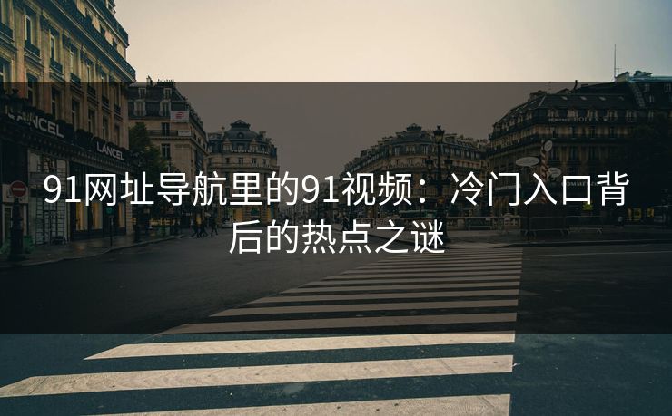 91网址导航里的91视频：冷门入口背后的热点之谜